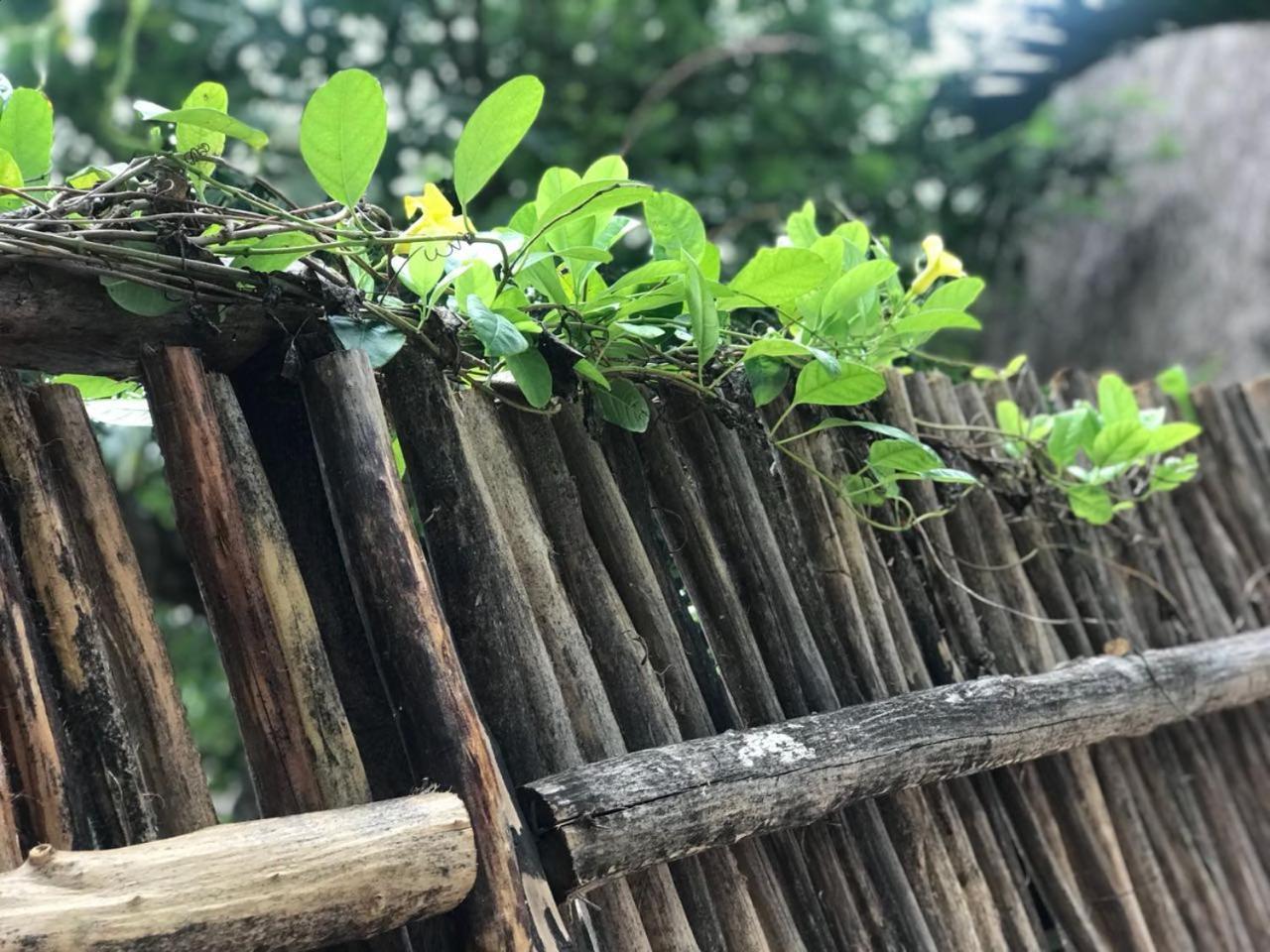Cabanas La Alborada Villa Tulum Bagian luar foto
